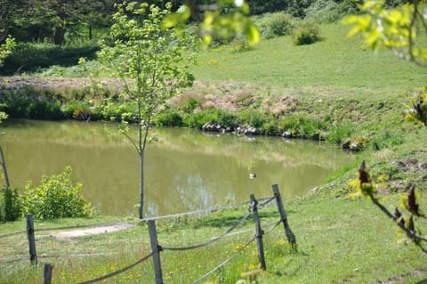 Lake view