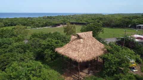 Property building, Natural landscape