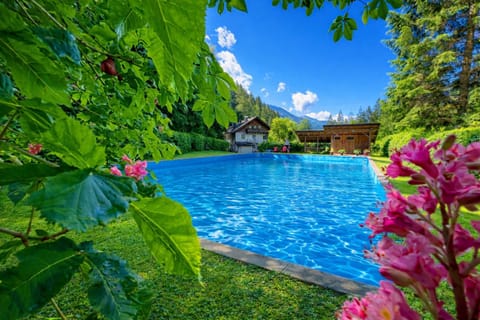 Garden, Swimming pool