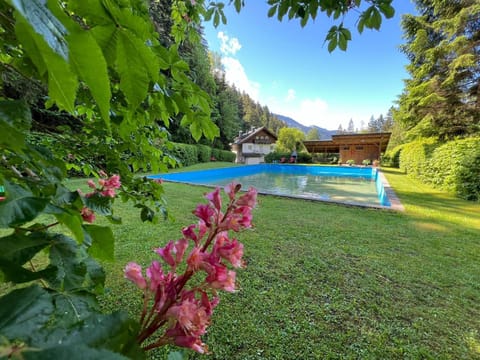 Spring, Garden, Swimming pool