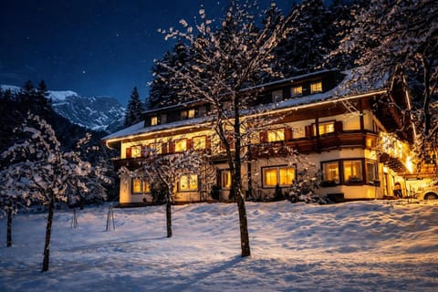 Property building, Night, Winter