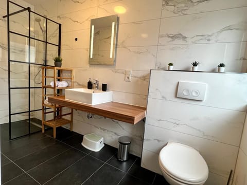 Shower, Toilet, Bathroom, towels