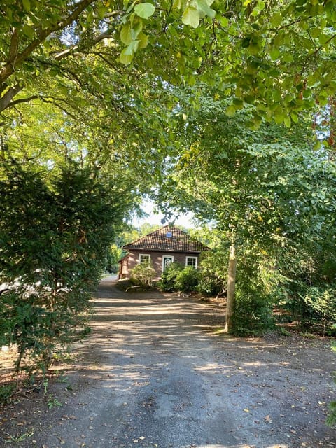 Natural landscape, Garden