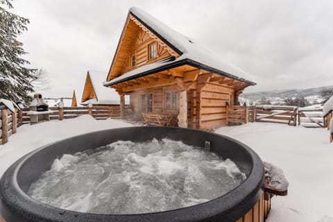 Property building, Day, Natural landscape, Winter, BBQ facilities, Hot Tub, View (from property/room), Lake view, Mountain view, Area and facilities, locker