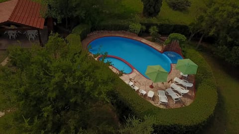 Garden, Swimming pool