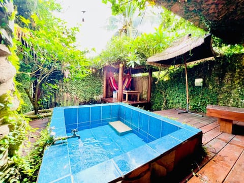 Garden, Garden view, Pool view, sunbed