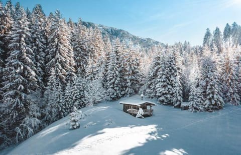 Appartement Bergblick Apartment in Salzburgerland