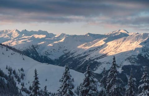 Appartement Bergblick Apartment in Salzburgerland