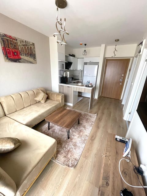 TV and multimedia, Kitchen or kitchenette, Living room, Seating area, oven