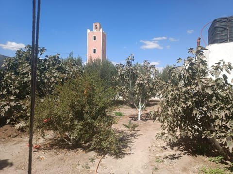 Place of worship, Garden, Garden view