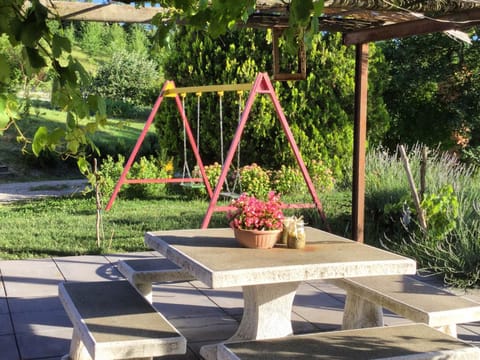 Garden, Garden, Inner courtyard view