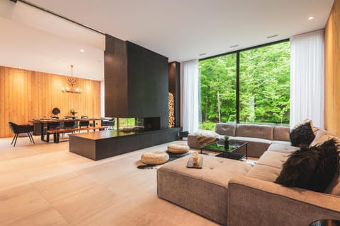 Living room, Seating area, Dining area, fireplace