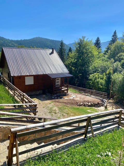 Villa Pax Villa in Montenegro