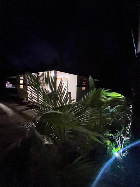 Night, Garden, Garden view