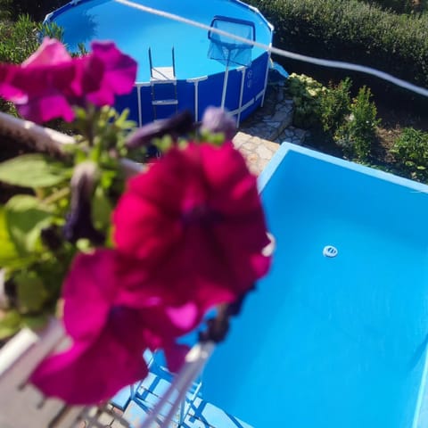 Lux Apartmans-VILA MALI RAJ Villa in Vojvodina