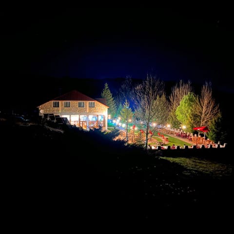 Property building, Night, Garden view