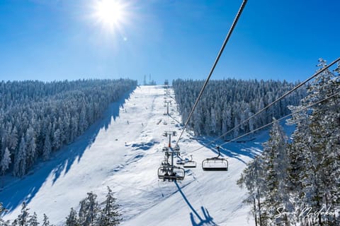 Valentina Spa Zlatibor Apartment in Zlatibor