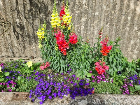 Birchlea Caravan Campground/ 
RV Resort in Stonehaven