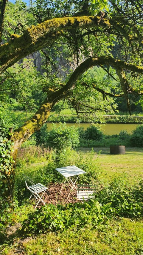 Day, Natural landscape, Garden, Garden, Balcony/Terrace