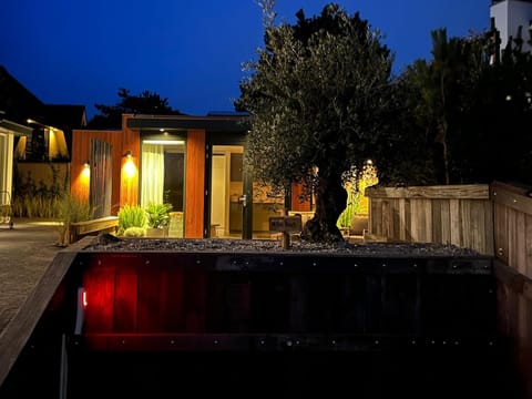 Olive Beach, luxury beachhouse 150 m from the beach Apartment in Noordwijk