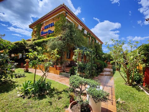 Property building, Garden, Garden view