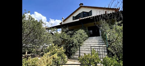 Property building, Day, Garden