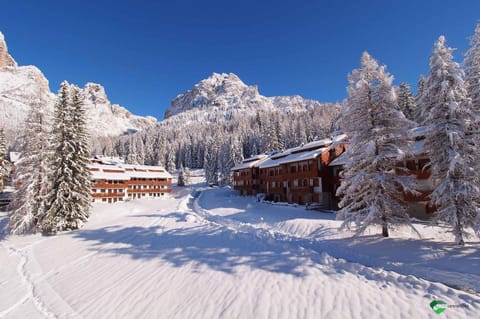 Natural landscape, Winter