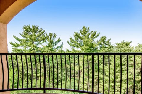 Chula Vista Condo Unit 2647 Hotel in Wisconsin Dells