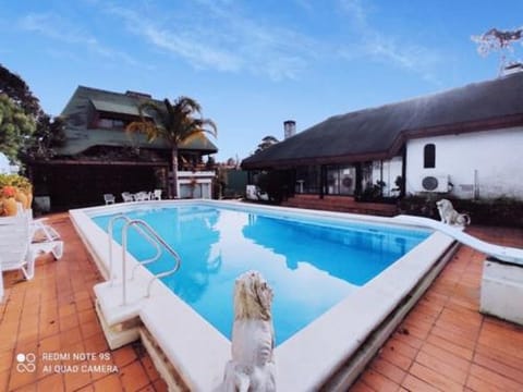 Pool view, Swimming pool, group of guests, sunbed