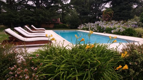 Garden, Swimming pool