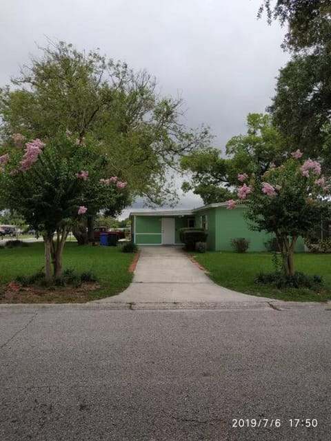 Green house Apartment in Egypt Lake-Leto