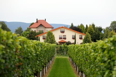 Facade/entrance, Area and facilities