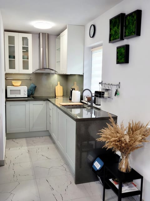 Kitchen or kitchenette, minibar, stove