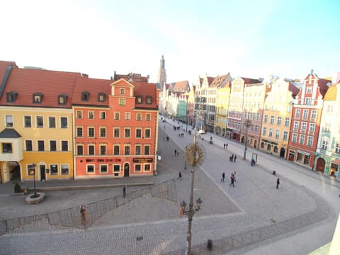 Bird's eye view, City view, Street view