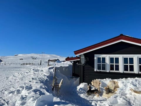 Property building, Winter