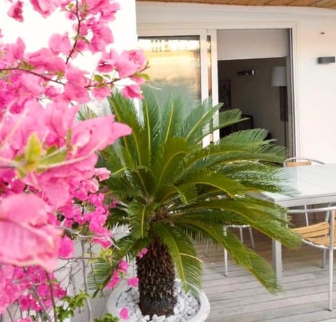 Patio, Balcony/Terrace, Balcony/Terrace, Dining area