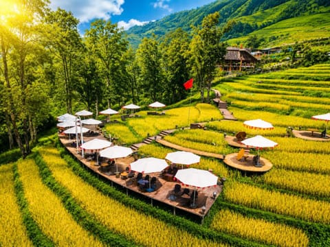 Spring, Garden, Garden