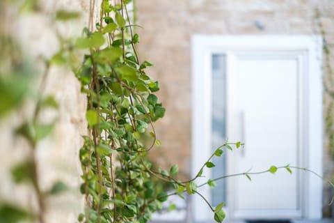 Facade/entrance, Garden, Garden view