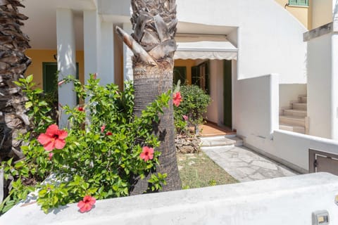 Property building, Garden, Garden view