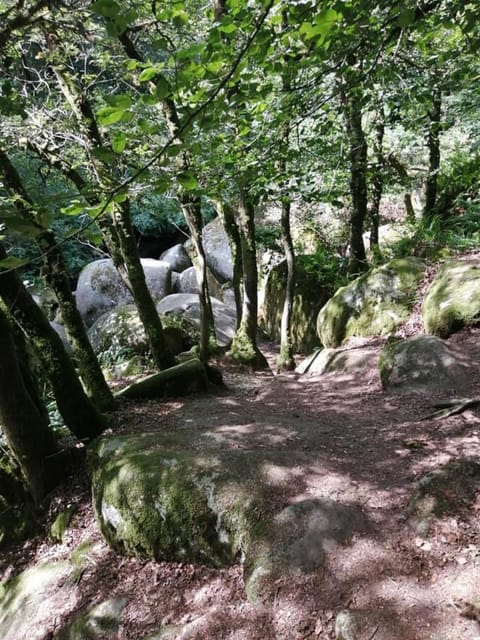 Les Gîtes du Triskell, gîte du Feu House in Brittany