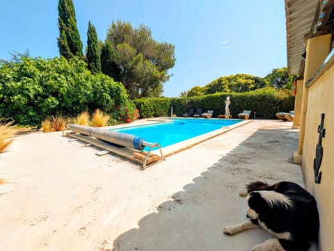 Day, Pool view, Swimming pool, sunbed
