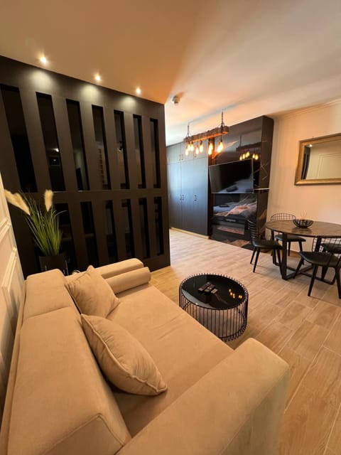 MVP Apartment Kopaonik Apartment in Serbia