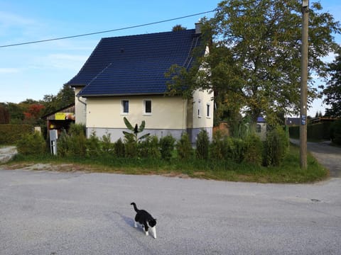 Property building, Street view