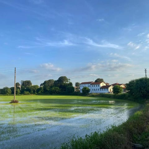 Day, Natural landscape, Lake view
