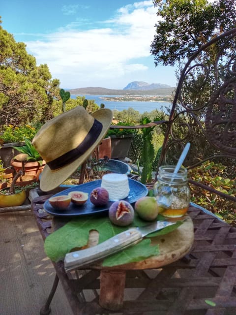 Villa Khepri Villa in Porto Rotondo