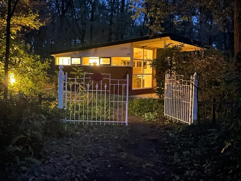 Property building, Night, Garden