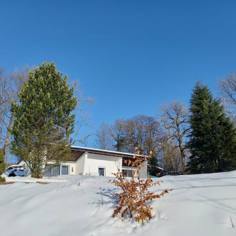 Property building, Winter
