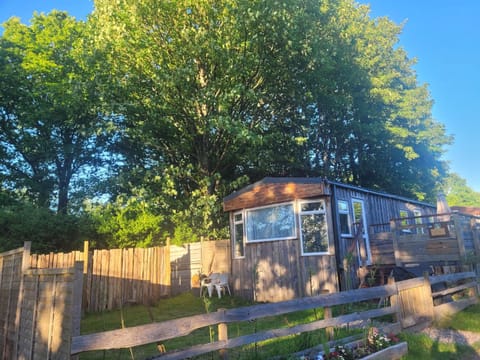 Garden, Garden view, Garden view