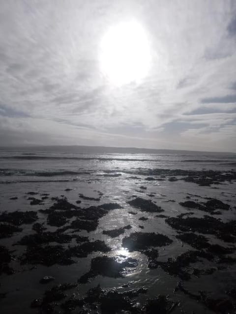 Ceaser's cabin is a cosy 1 bedroom cabin Cabin in County Clare