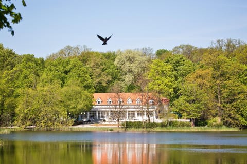 Property building, Natural landscape